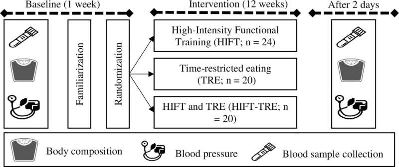 A sum greater than its parts: Time-restricted eating and high-intensity exercise work together to improve health